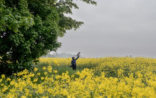 Sound technician by a rapeseed fiel