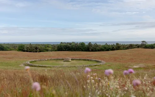 Meadow at Backåkra with the Meditation Ring