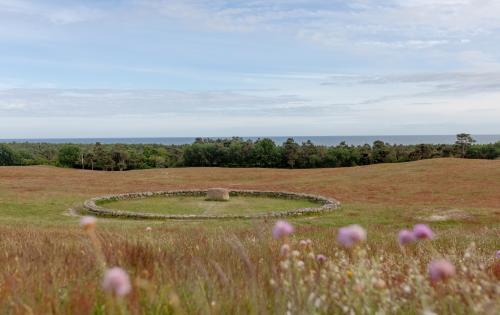 Meadow at Backåkra with the Meditation Ring