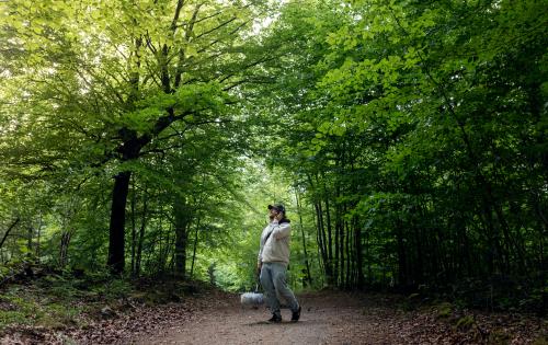 Sound technician in forrest