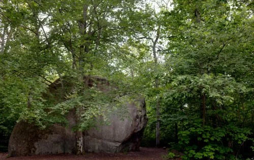 Big rock in Kjugekull Nature Reserve