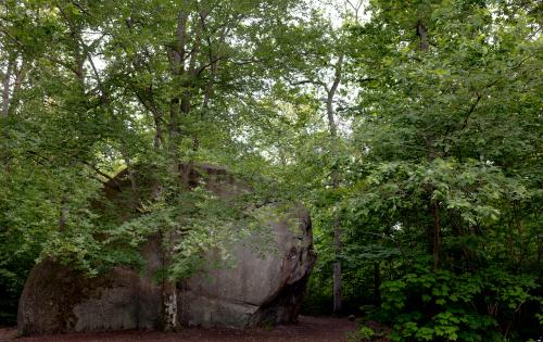 Big rock in Kjugekull Nature Reserve