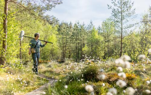 A man with a microphone walking through a forest.