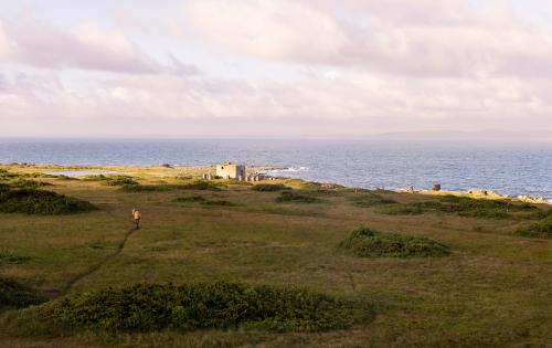 A person walking on a grassy hill near the ocean.