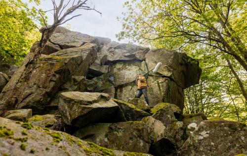 A person standing on a rock in the middle of a forest.