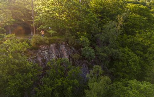 A person standing on top of a cliff surrounded by trees.