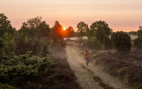 A man walking down a  road next to a forest.