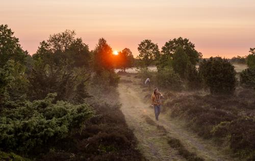 A man walking down a  road next to a forest.