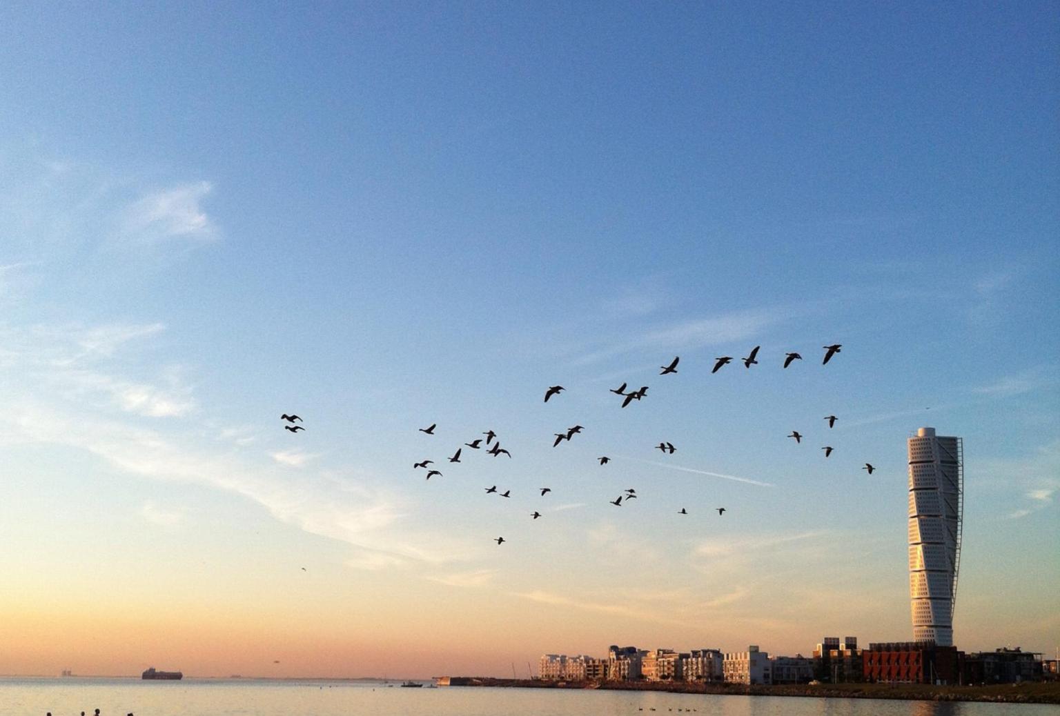 View of Turning Torso from Ribersborg beach at sunset