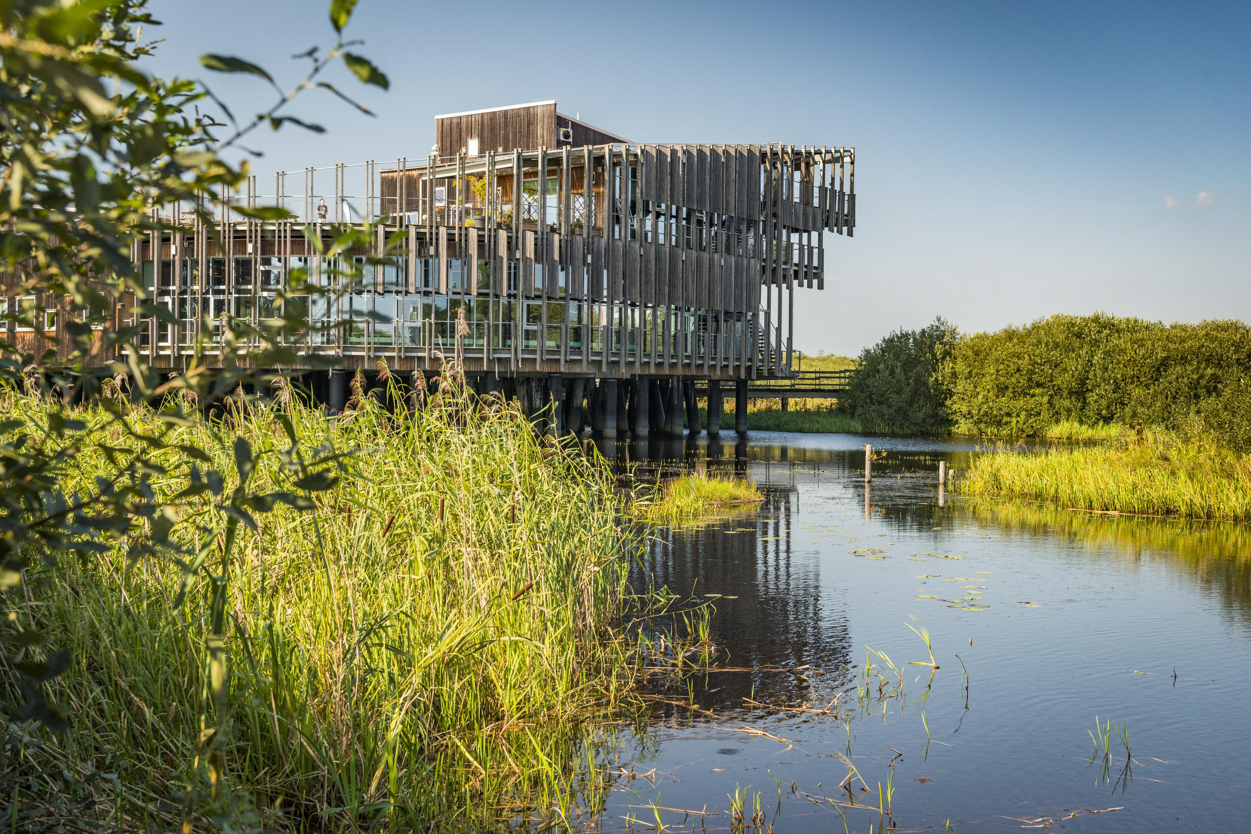 A large building with glass sections close to a river with green surroundings