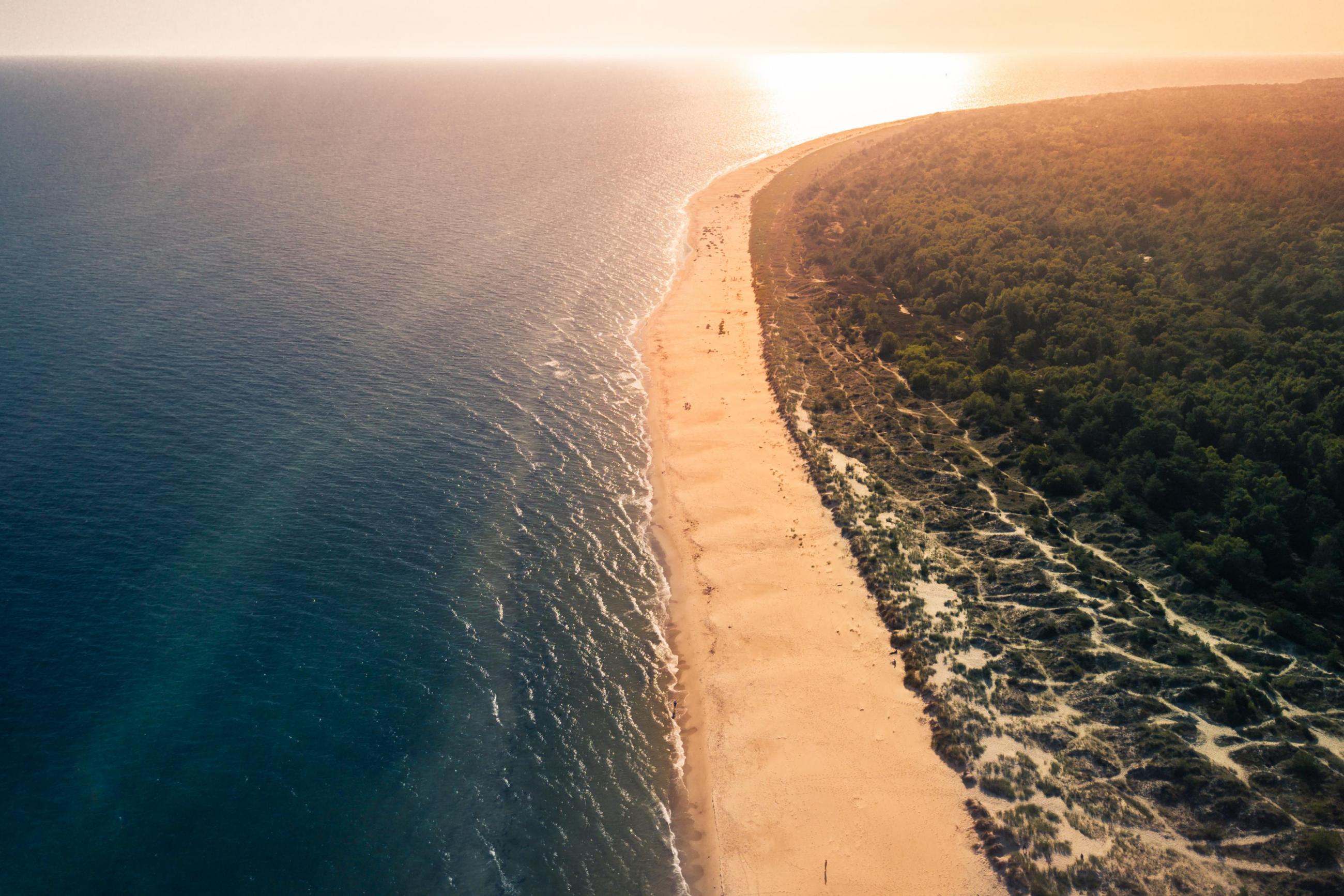 Blick von oben auf einen Strand in Sandhammaren