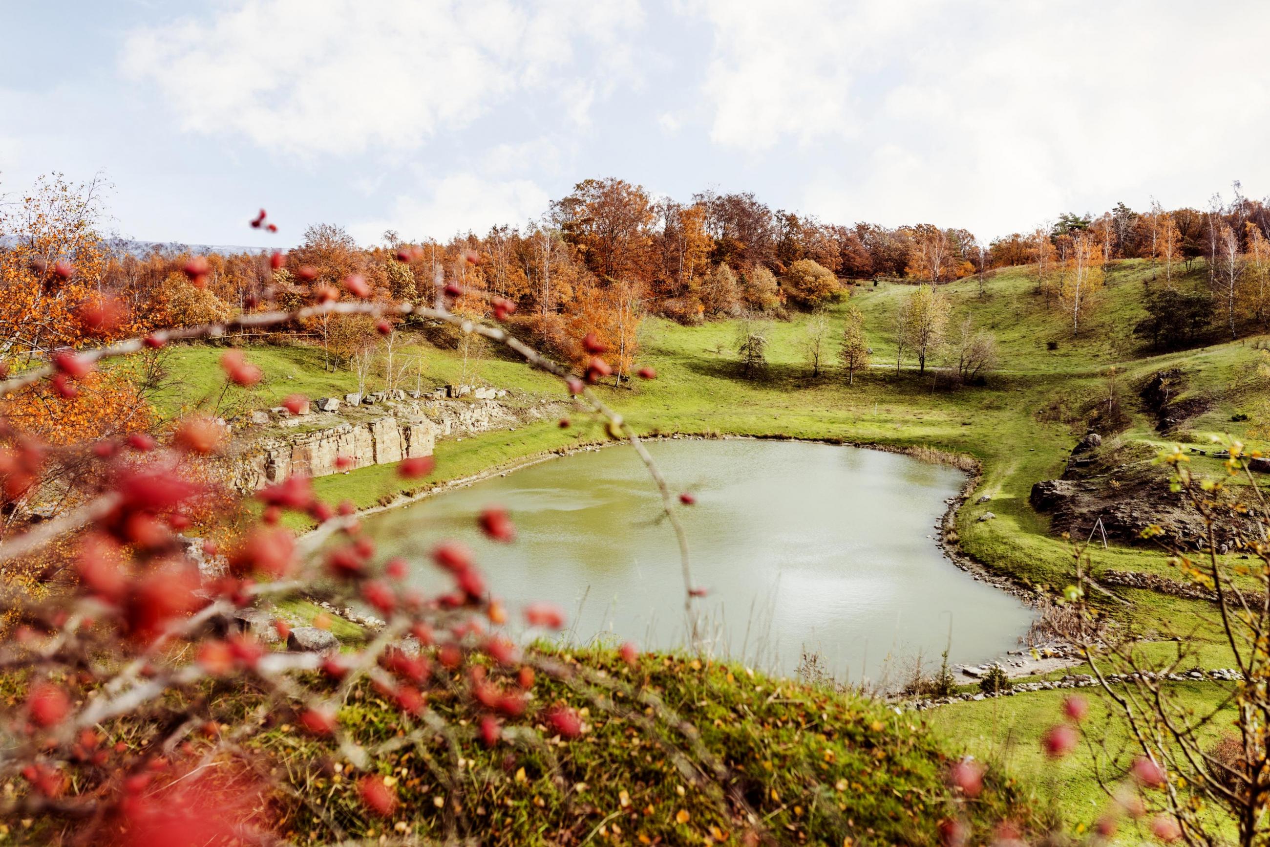 Views of a lake surrounded by a green landscape