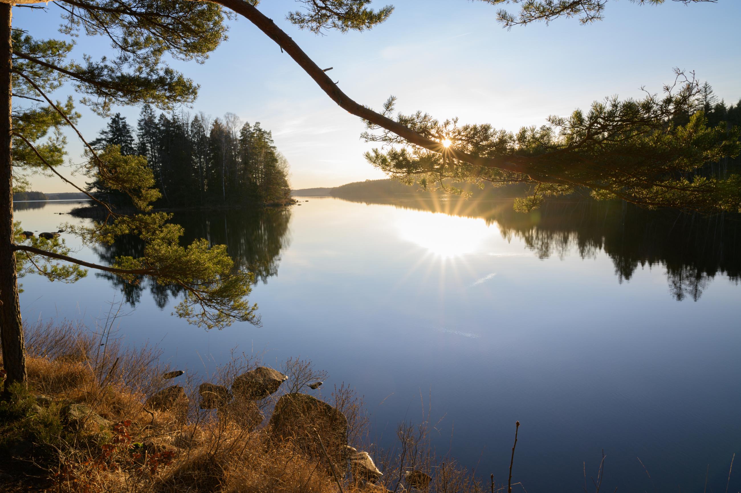 Utsikt av en sjön Immeln, omgiven av skog i gryningen