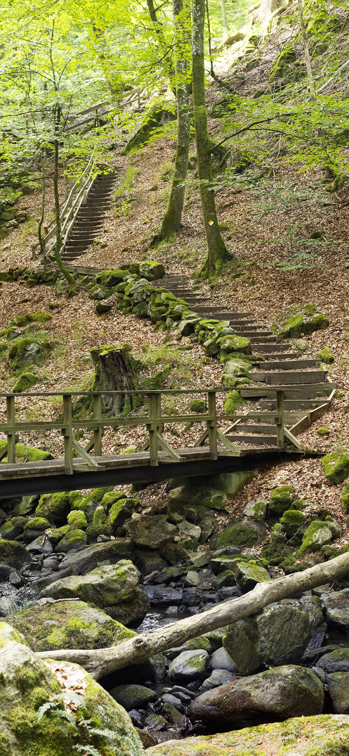 Stairs in the woods in Åbjär