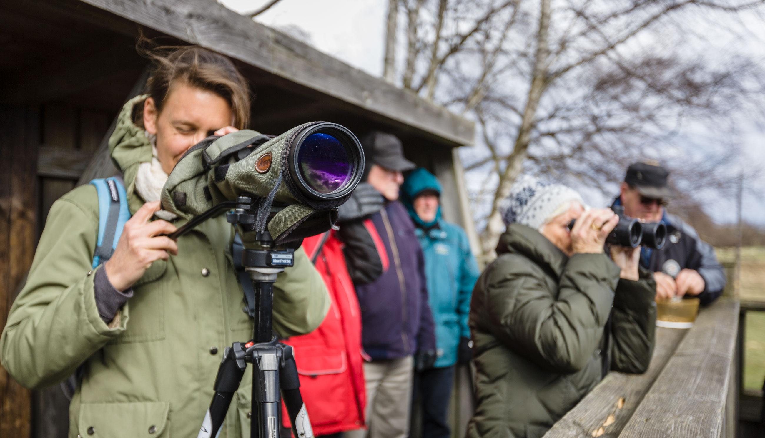 Birdwatchers in Skåne