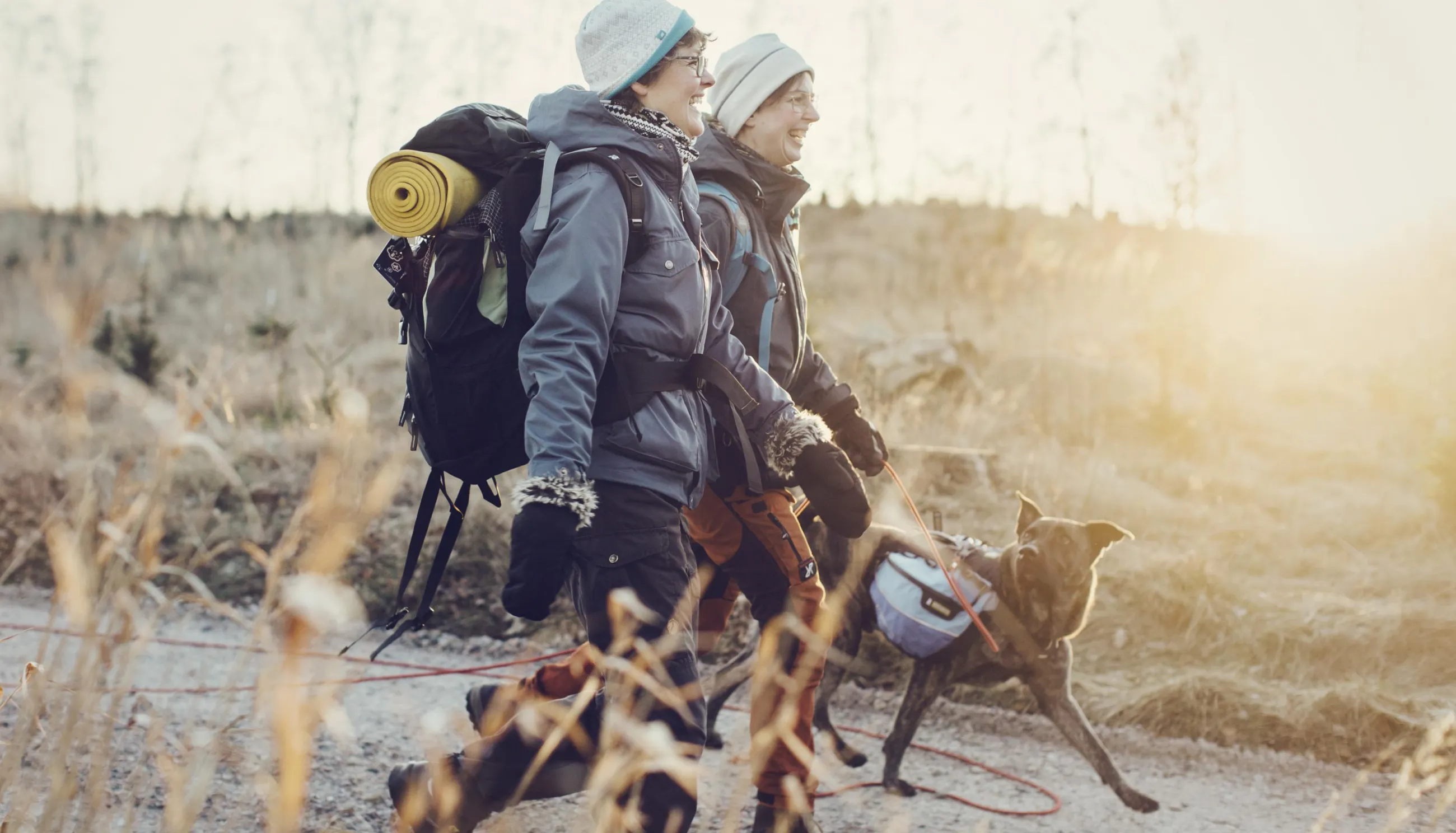 Spaziergang mit Hund