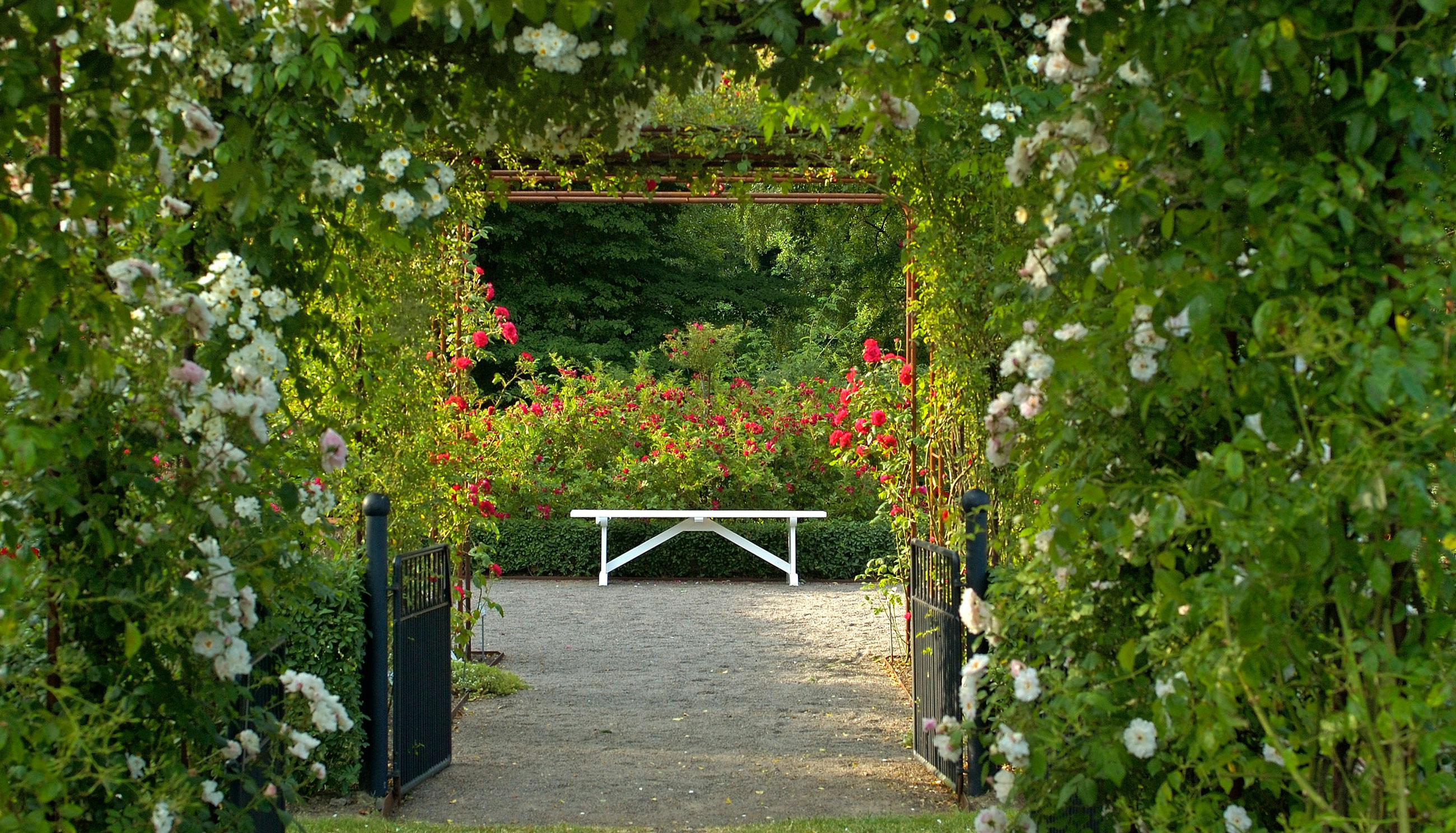 View over bench at Fredriksdal garden in Skåne