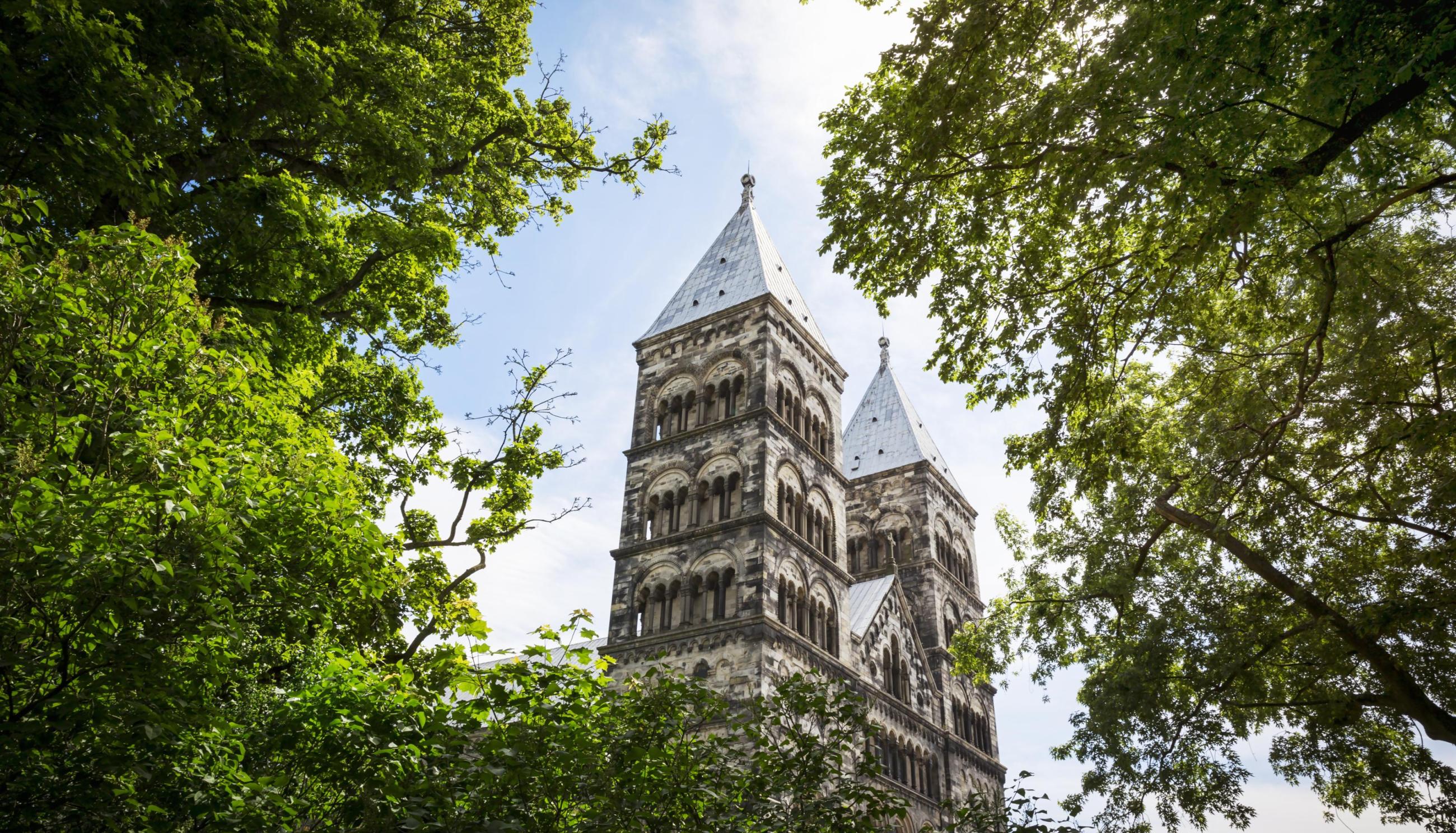Eine Gasse in Lund mit farbenfrohen Häusern, vor denen Rosenstöcke blühen.