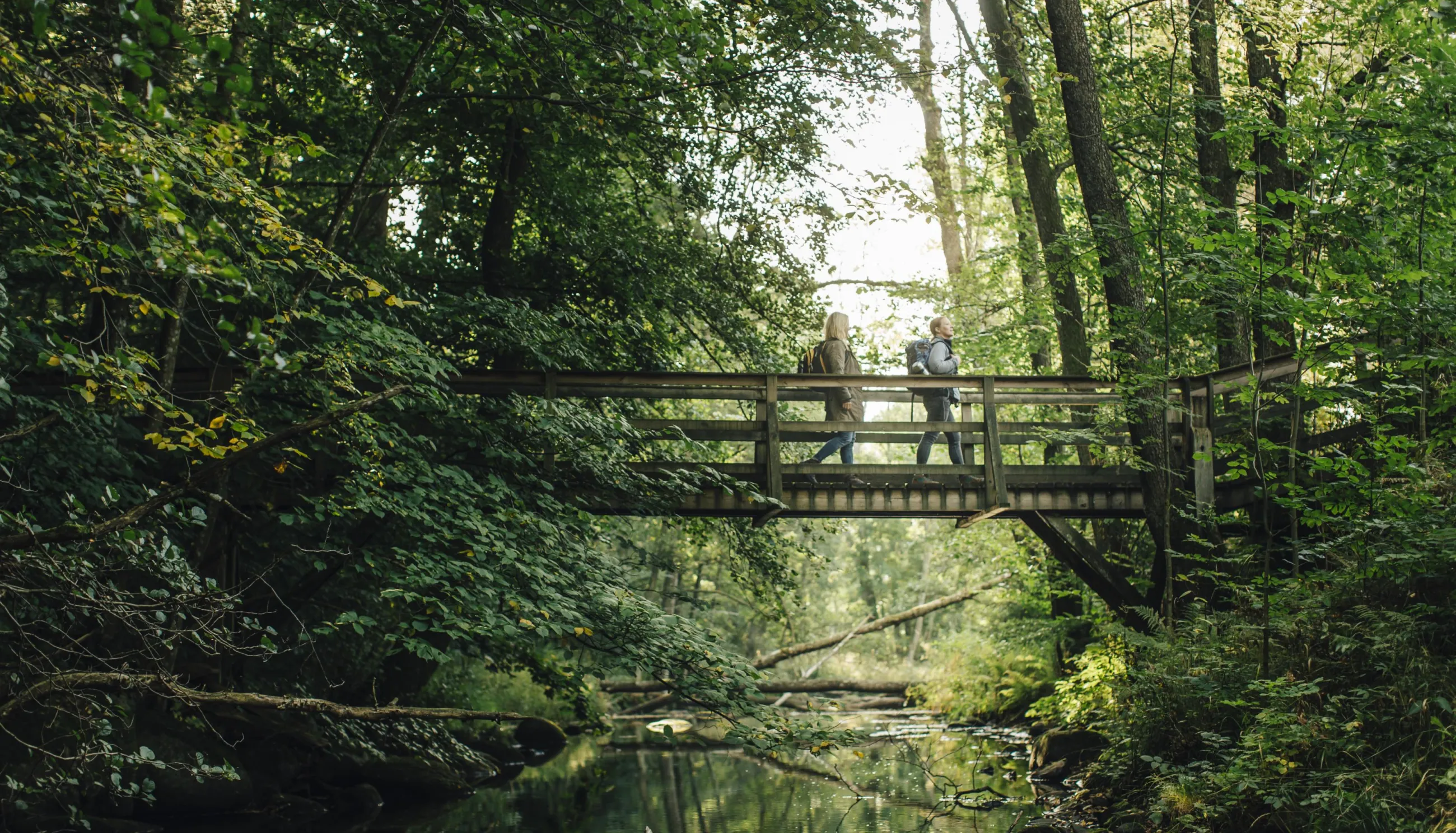Der Söderåsen-Nationalpark