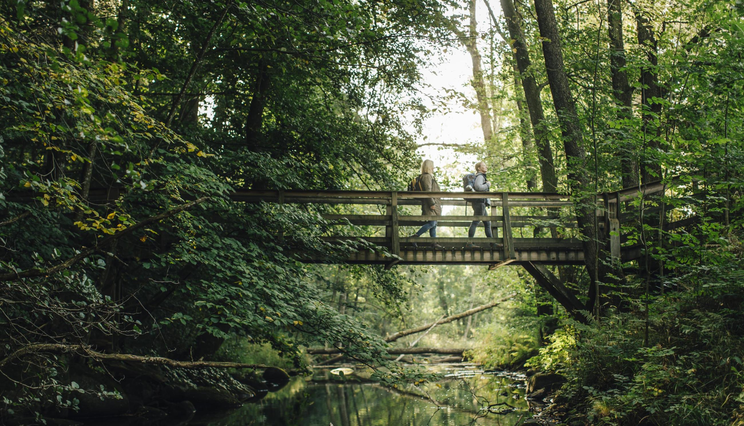 Der Söderåsen-Nationalpark