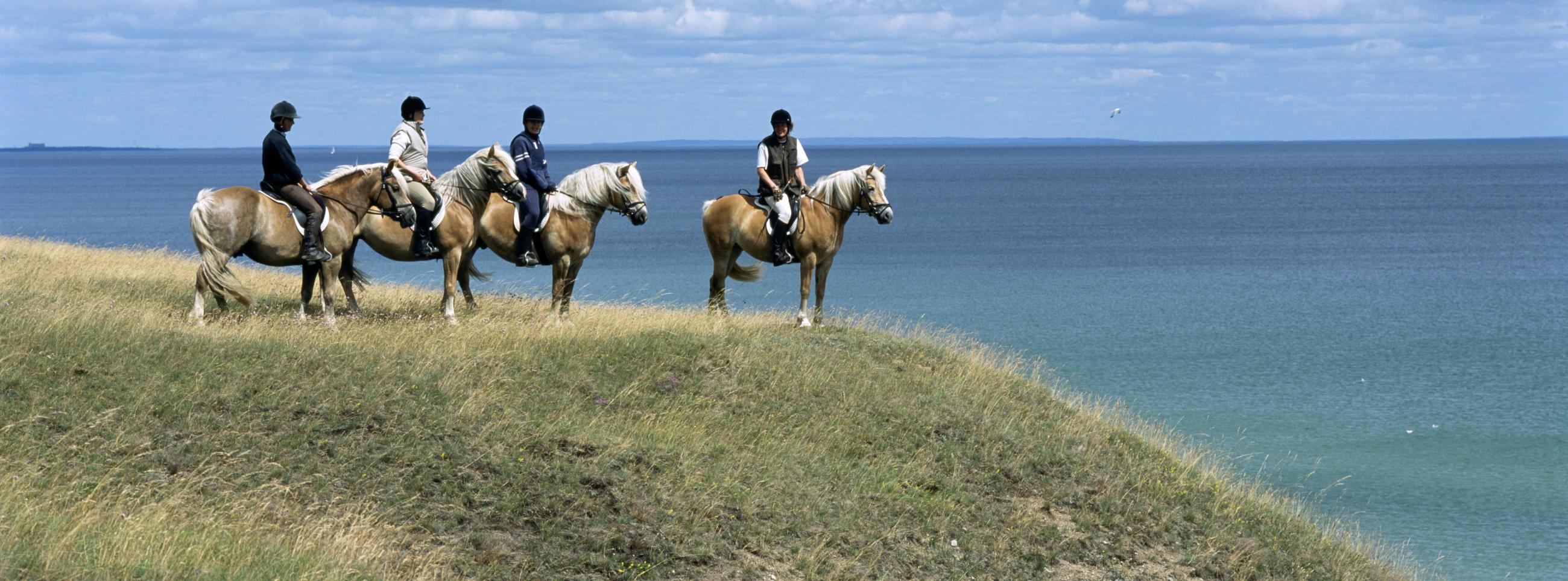 Go Horseback riding