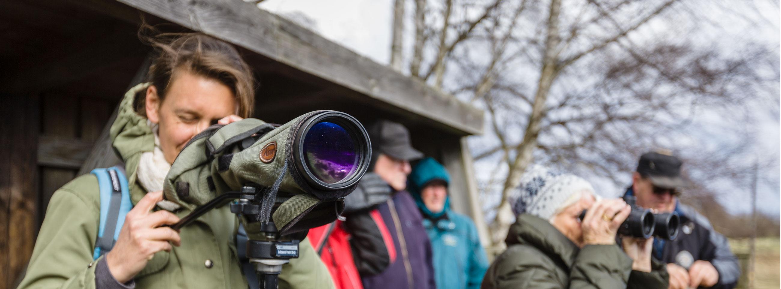 Birdwatchers in Skåne