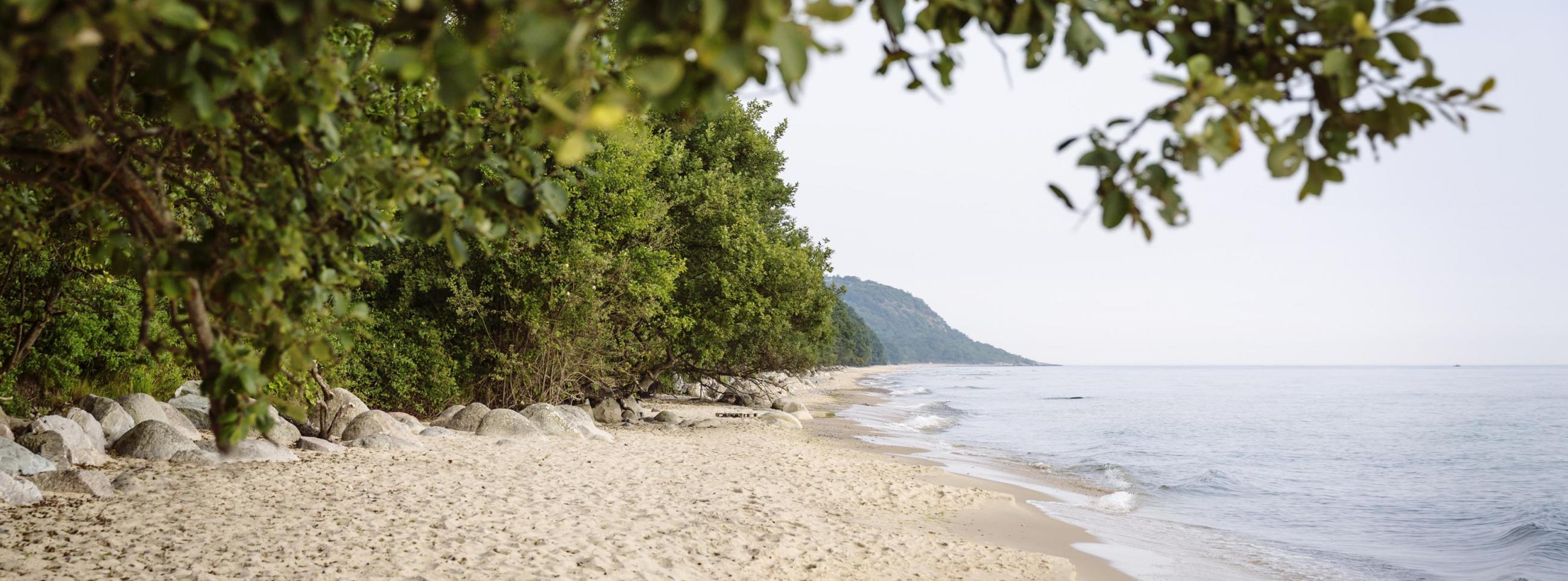Ein Strand in Knäbäckshusen mit Blick auf die Steilküste und die umliegenden Bäume.