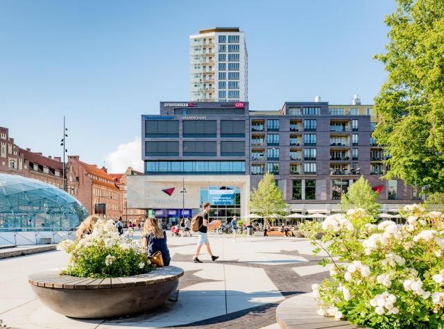 Triangeln - Foto: Werner Nystrand