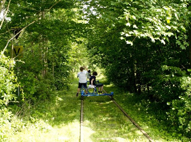 En familj på dressincyklar genom en skog vid Romeleåsen