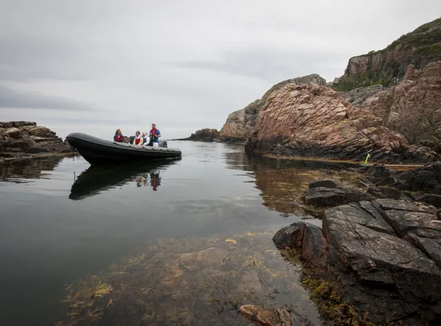 Porpoise Safari © Kullabergsguiderna