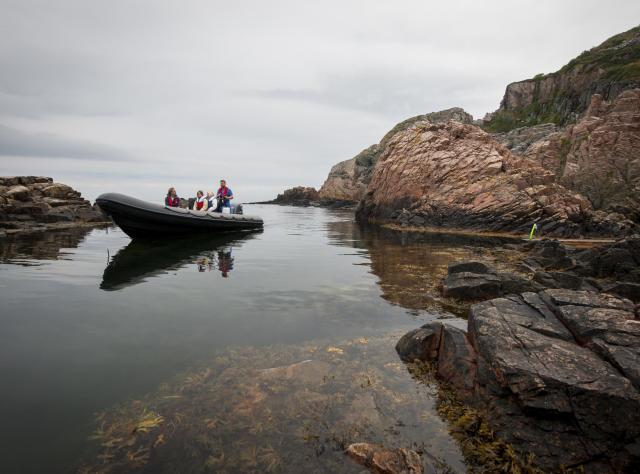 Porpoise Safari © Kullabergsguiderna