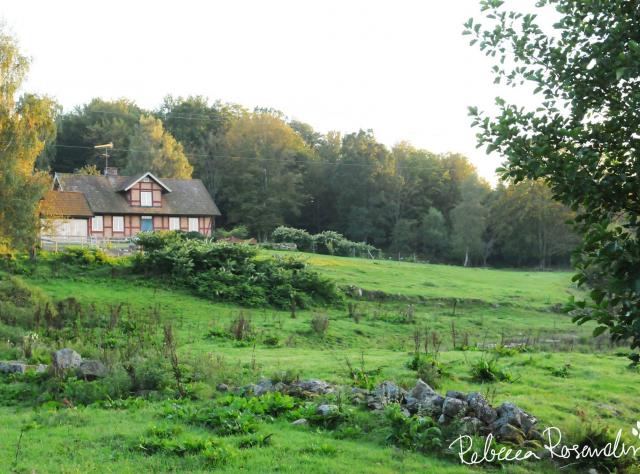 Ein großes Haus und ein Pferd © Rebecka Rosander