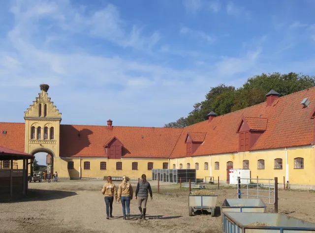 Die gelb verputzten Stallungen des Reiterhofs Flyinge Kungsgård.