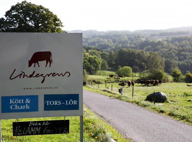 Lindgrens vägmärke och kor som betar i det frodiga gröna landskapet i bakgrunden