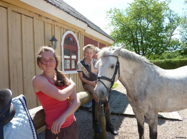 Two children and a horse 
