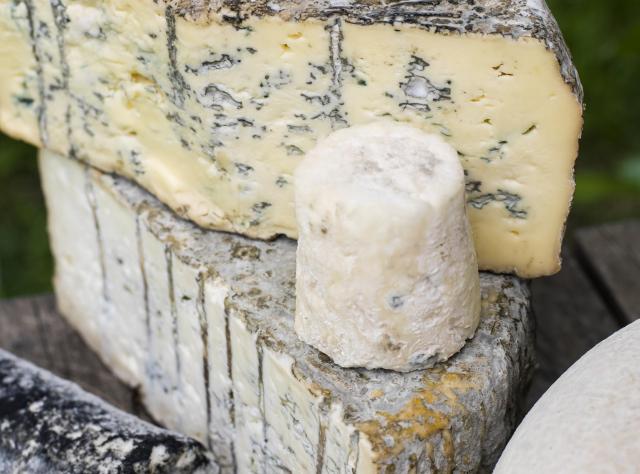 Olika slags mögelostar staplade på ett bord på Soldattorpets mejeri