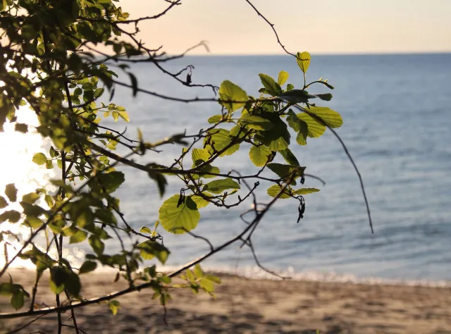 Solnedgång vid havet i Skåne