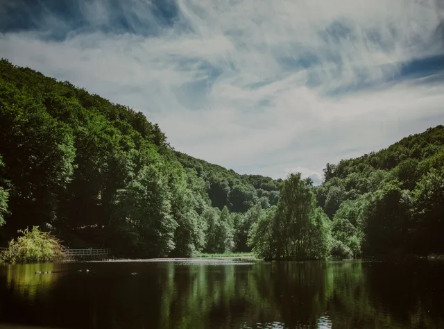 Söderåsens nationalpark i Skåne
