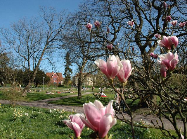 Botanischer Garten in Lund