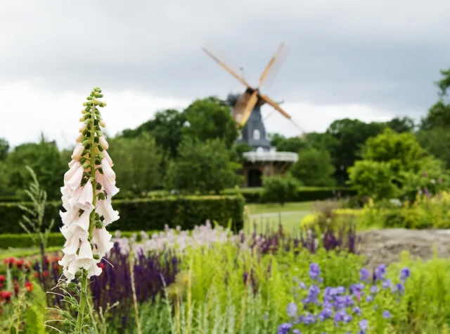 Slottsträdgården