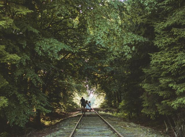 En familj dressincyklar genom en grön och tät skog 