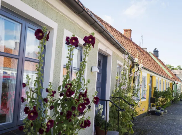 Gatusikt av färgglada och pittoreska hus i Simrishamn