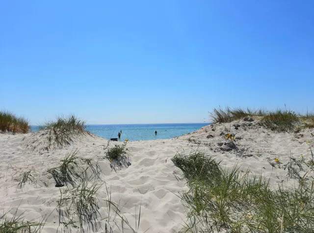 Falsterbo resort