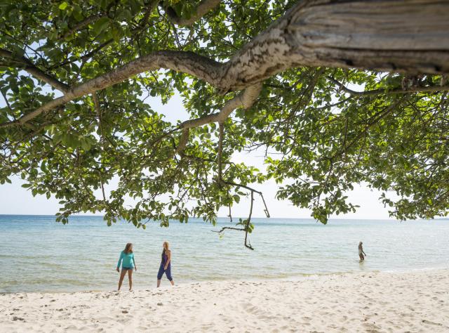 Eine Gruppe verbringt einen Tag am feinen Sandstrand von Rörum in der Nähe des Nationalparks Stenshuvud.