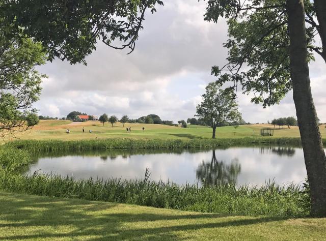 Close up of pond in golf field 