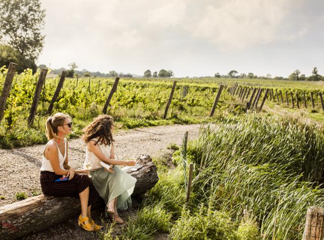 Women sitting on log next to gravel road and a vineyard