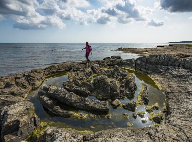 Person walking on edge of cliff next to the sea