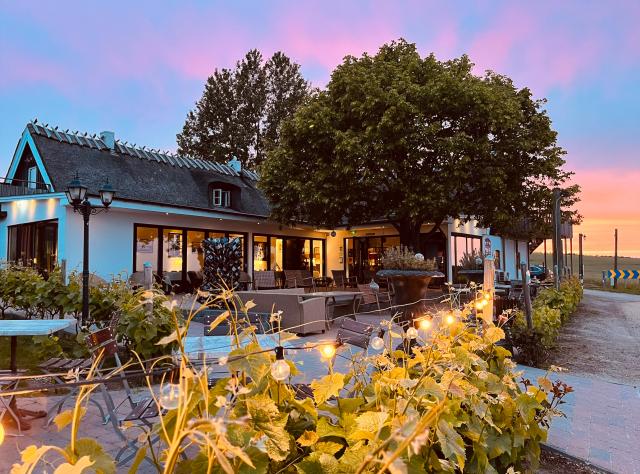 Gårdshus med uteplats och grön växtlighet i förgrunden