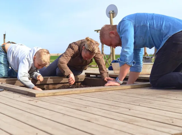 Utgrävningar vid uppåkra