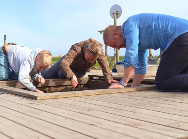 Utgrävningar vid uppåkra